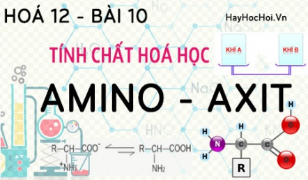 Amino Axit tính chất hoá học, công thức cấu tạo và bài tập về Amino Axit - hoá 12 bài 10